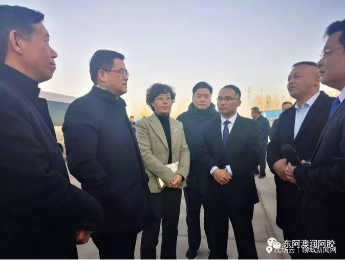 山东省市级重点项目观摩--聊城永利欢乐娱人城阿胶三期现场观摩